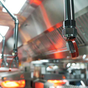 Fire Protection Services